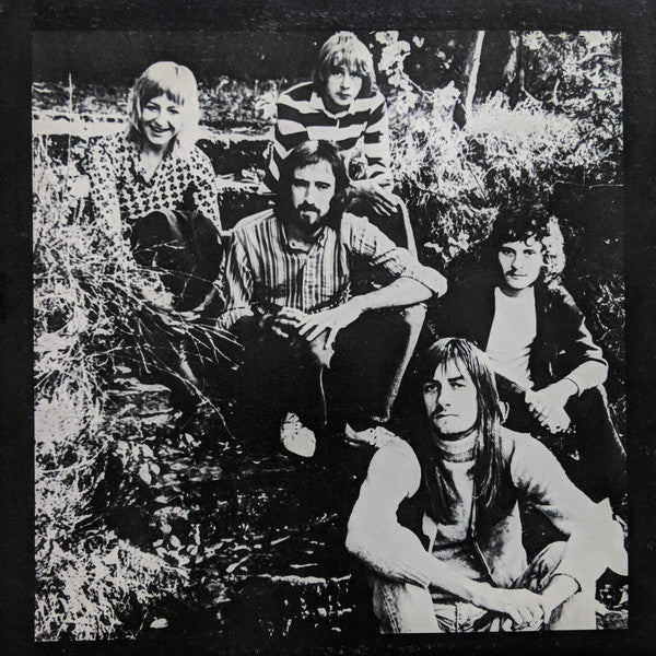 Fleetwood Mac : Greatest hits
