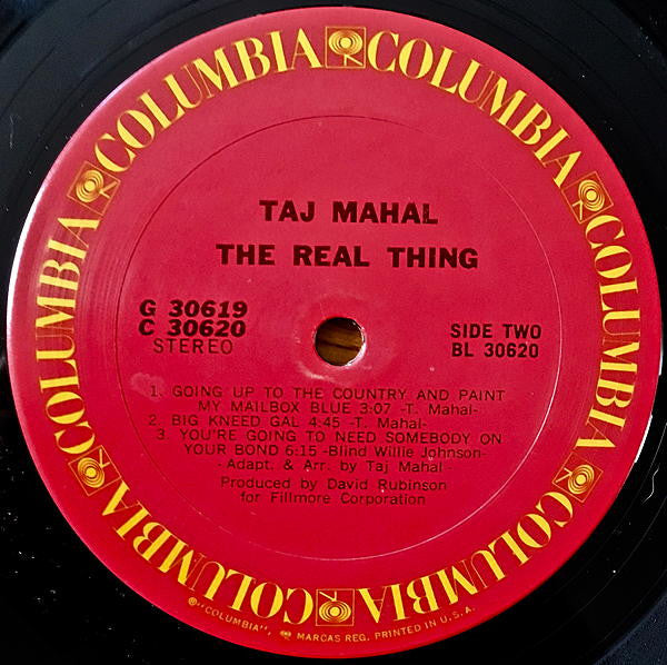 Taj Mahal : The Real Thing