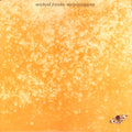 Michael Franks : Sleeping gypsy