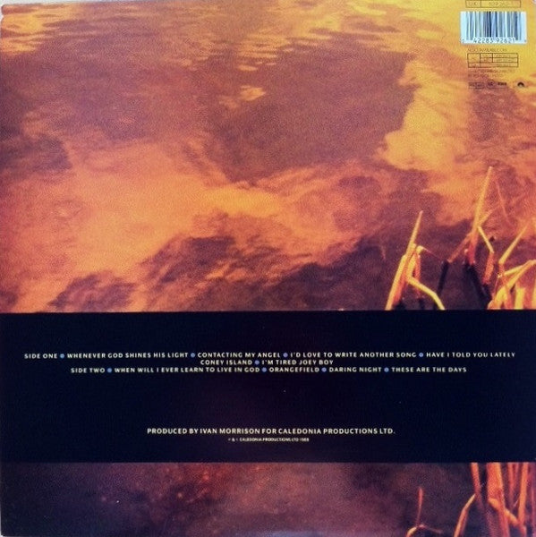 Van Morrison : Avalon Sunset