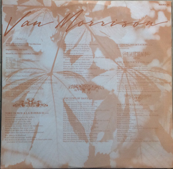 Van Morrison : A sense of wonder
