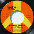 Benny Johnson : Visions of paradise