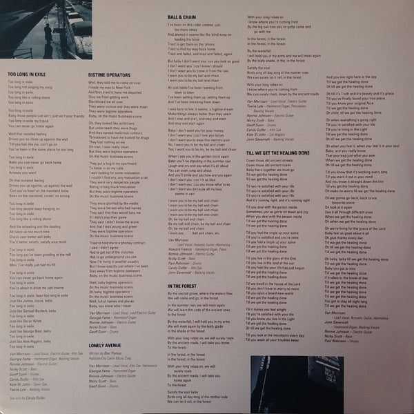 Van Morrison : Too Long in Exile