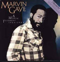 Marvin Gaye – A Musical Testament 1964 - 1984
