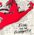 Echo and the Bunnymen : Pictures on my wall