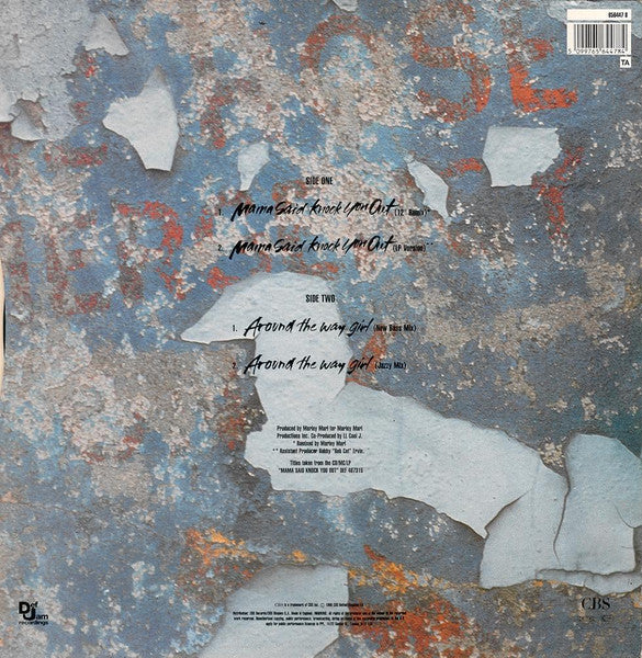 L.L. Kool J : Around the way girl