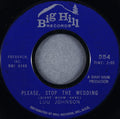 Lou Johnson : Please stop the wedding