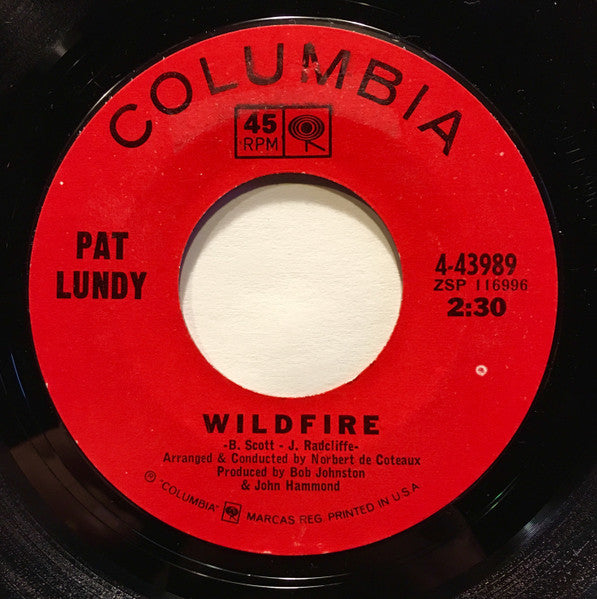 Pat Lundy : City of stone