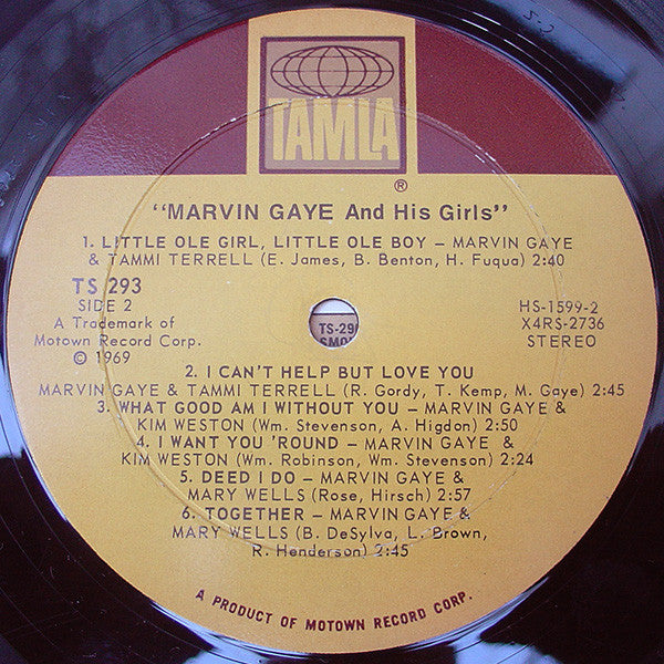 Marvin Gaye and his girls