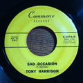 Tony Harrison Sad Occasion