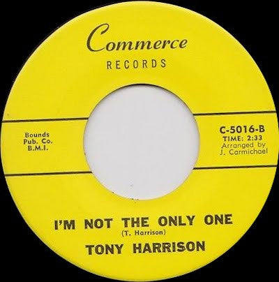 Tony Harrison Sad Occasion