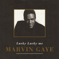 Marvin Gaye – Lucky Lucky Me