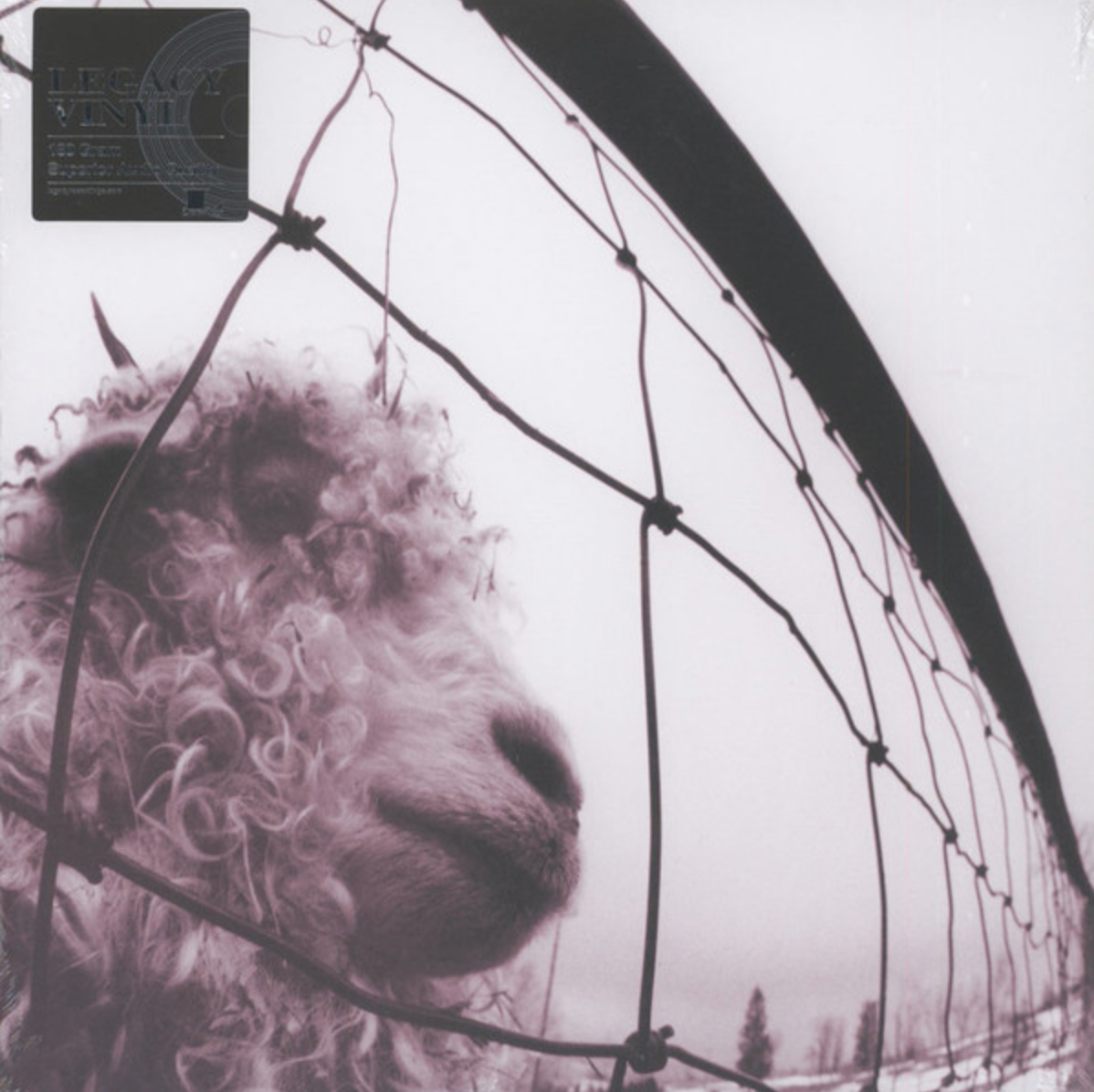 Pearl Jam – Vs.