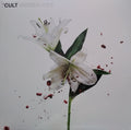 The Cult – Hidden City