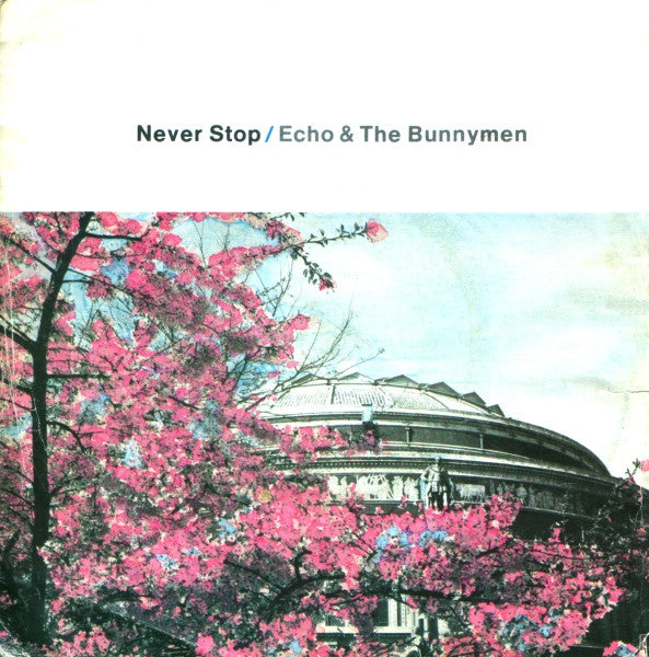 Echo & The Bunnymen ‎– Never Stop