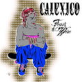 Calexico – Feast Of Wire