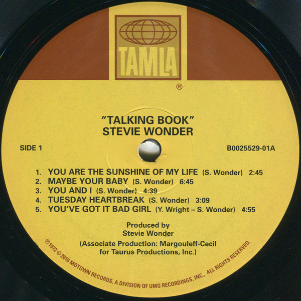 Stevie Wonder – Talking Book