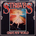 Strawbs ‎– Grave New World