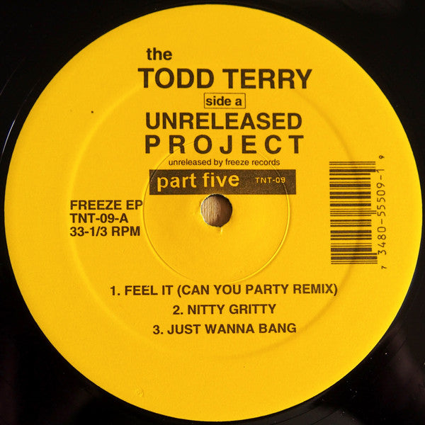 Todd Terry ‎– The Todd Terry Unreleased Project Part 5